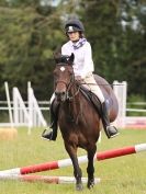 Image 155 in WAVENEY HARRIERS PONY CLUB SHOW. 3 AUG 2015