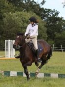 Image 156 in WAVENEY HARRIERS PONY CLUB SHOW. 3 AUG 2015