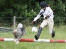 Image 157 in WAVENEY HARRIERS PONY CLUB SHOW. 3 AUG 2015