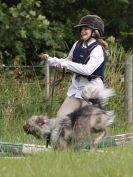 Image 161 in WAVENEY HARRIERS PONY CLUB SHOW. 3 AUG 2015