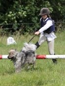 Image 162 in WAVENEY HARRIERS PONY CLUB SHOW. 3 AUG 2015