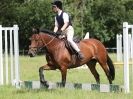 Image 164 in WAVENEY HARRIERS PONY CLUB SHOW. 3 AUG 2015