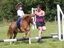 Image 171 in WAVENEY HARRIERS PONY CLUB SHOW. 3 AUG 2015