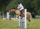 Image 182 in WAVENEY HARRIERS PONY CLUB SHOW. 3 AUG 2015