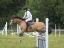 Image 183 in WAVENEY HARRIERS PONY CLUB SHOW. 3 AUG 2015