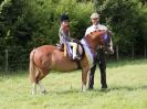 Image 187 in WAVENEY HARRIERS PONY CLUB SHOW. 3 AUG 2015