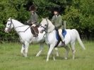 Image 19 in WAVENEY HARRIERS PONY CLUB SHOW. 3 AUG 2015