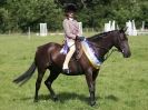 Image 190 in WAVENEY HARRIERS PONY CLUB SHOW. 3 AUG 2015