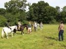 Image 2 in WAVENEY HARRIERS PONY CLUB SHOW. 3 AUG 2015