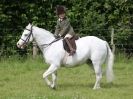 Image 21 in WAVENEY HARRIERS PONY CLUB SHOW. 3 AUG 2015