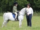 Image 23 in WAVENEY HARRIERS PONY CLUB SHOW. 3 AUG 2015