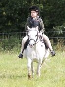 Image 26 in WAVENEY HARRIERS PONY CLUB SHOW. 3 AUG 2015