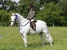 Image 27 in WAVENEY HARRIERS PONY CLUB SHOW. 3 AUG 2015