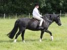 Image 28 in WAVENEY HARRIERS PONY CLUB SHOW. 3 AUG 2015