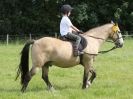 Image 29 in WAVENEY HARRIERS PONY CLUB SHOW. 3 AUG 2015