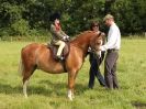 Image 3 in WAVENEY HARRIERS PONY CLUB SHOW. 3 AUG 2015