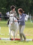 Image 30 in WAVENEY HARRIERS PONY CLUB SHOW. 3 AUG 2015