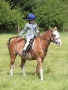 Image 31 in WAVENEY HARRIERS PONY CLUB SHOW. 3 AUG 2015