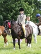 Image 32 in WAVENEY HARRIERS PONY CLUB SHOW. 3 AUG 2015