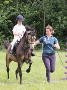 Image 35 in WAVENEY HARRIERS PONY CLUB SHOW. 3 AUG 2015