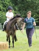 Image 36 in WAVENEY HARRIERS PONY CLUB SHOW. 3 AUG 2015