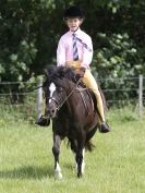 Image 43 in WAVENEY HARRIERS PONY CLUB SHOW. 3 AUG 2015