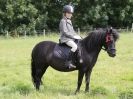 Image 46 in WAVENEY HARRIERS PONY CLUB SHOW. 3 AUG 2015