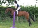 Image 49 in WAVENEY HARRIERS PONY CLUB SHOW. 3 AUG 2015