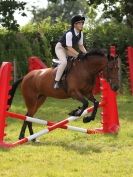 Image 50 in WAVENEY HARRIERS PONY CLUB SHOW. 3 AUG 2015