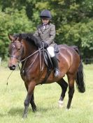 Image 55 in WAVENEY HARRIERS PONY CLUB SHOW. 3 AUG 2015