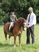 Image 56 in WAVENEY HARRIERS PONY CLUB SHOW. 3 AUG 2015