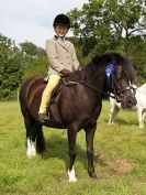 Image 6 in WAVENEY HARRIERS PONY CLUB SHOW. 3 AUG 2015