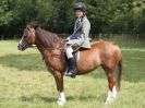 Image 62 in WAVENEY HARRIERS PONY CLUB SHOW. 3 AUG 2015