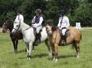 Image 63 in WAVENEY HARRIERS PONY CLUB SHOW. 3 AUG 2015