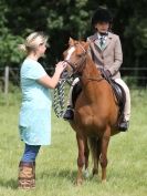 Image 64 in WAVENEY HARRIERS PONY CLUB SHOW. 3 AUG 2015