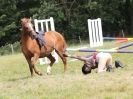 Image 71 in WAVENEY HARRIERS PONY CLUB SHOW. 3 AUG 2015