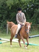 Image 73 in WAVENEY HARRIERS PONY CLUB SHOW. 3 AUG 2015