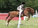 Image 74 in WAVENEY HARRIERS PONY CLUB SHOW. 3 AUG 2015