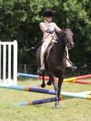 Image 75 in WAVENEY HARRIERS PONY CLUB SHOW. 3 AUG 2015