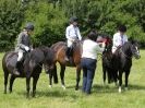 Image 78 in WAVENEY HARRIERS PONY CLUB SHOW. 3 AUG 2015