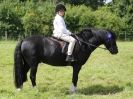 Image 79 in WAVENEY HARRIERS PONY CLUB SHOW. 3 AUG 2015