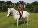 Image 8 in WAVENEY HARRIERS PONY CLUB SHOW. 3 AUG 2015