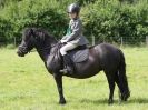 Image 81 in WAVENEY HARRIERS PONY CLUB SHOW. 3 AUG 2015