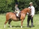 Image 82 in WAVENEY HARRIERS PONY CLUB SHOW. 3 AUG 2015