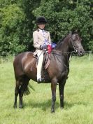 Image 83 in WAVENEY HARRIERS PONY CLUB SHOW. 3 AUG 2015