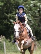 Image 86 in WAVENEY HARRIERS PONY CLUB SHOW. 3 AUG 2015