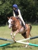 Image 87 in WAVENEY HARRIERS PONY CLUB SHOW. 3 AUG 2015