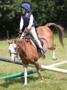 Image 88 in WAVENEY HARRIERS PONY CLUB SHOW. 3 AUG 2015