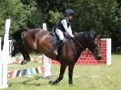 Image 93 in WAVENEY HARRIERS PONY CLUB SHOW. 3 AUG 2015