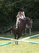 Image 94 in WAVENEY HARRIERS PONY CLUB SHOW. 3 AUG 2015